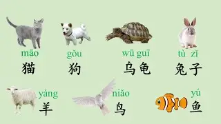 Unit 5 How to say basic animal and pets in Chinese | FunFun Mandarin with Sien Laoshi