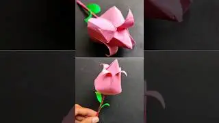 Paper Tulip Flower | Lotus Flower | 