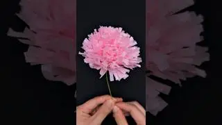 DIY Flower | Carnation | Mother's Day Gift Ideas 