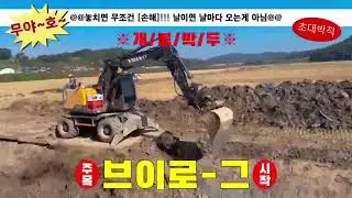 3D레벨기 개인 GPS 기지국 설치하러 서천에 다녀왔습니다!