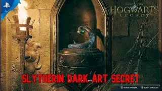 In the shadow of study | Crucio Curse | Slytherin Dark Art Secret | Hogwarts Legacy