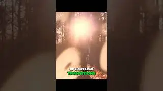 How to use FILM BURNS the RIGHT WAY
