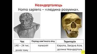 6 класс. Всемирная история. Урок №3. Еволюція людини