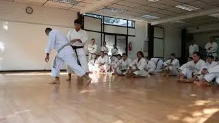 Kamae para kumite por sensei Ronaldier Rodrigues