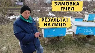 Preliminary results of wintering bees | What to do with weak families?