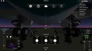 Boeing 737-800 -31fpm landing (i got -8 before that) | Project Flight
