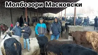 Молбозори Масковски нархи гому мол гусала бука гови ширте 8 декабря 2021 г.