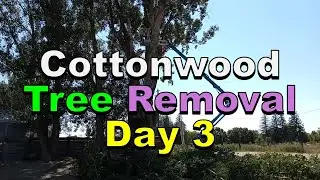 No. 1249 – Thursday Tree Removal in Time Lapse
