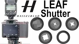 Leaf Shutter vs Focal Plane Shutter | Hasselblad-X vs Nikon-Z