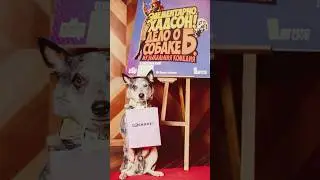 #shorts Самые милые собаки