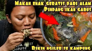 MAKAN ENAK PINDANG GABUS KUAH PEDAS HASIL ALAM