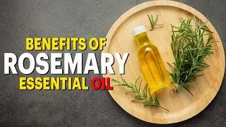 Health Benefits Of Rosemary Oil - Get Your Health Back With Rosemary Oil