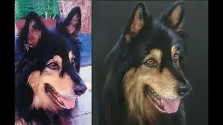 Come eseguire un ritratto di cane con i pastel-pencil - tutorial