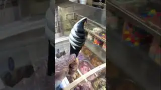 Special choco cone ice cream