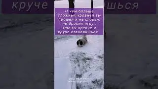 жизнь как игра, быть лёгкими, как относиться легко к жизни