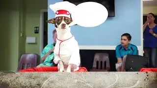 Cooking for Canines Coming Soon