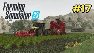 Farming simulator 23 mobile primeira colheita de beterraba Gameplay