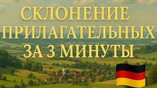 Склонение прилагательных в немецком за 3 минуты