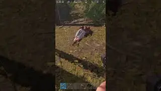 ГРАНАТА 💣 И ЛЁГКАЯ БЕРДАНКА 🎯: BUCKBRAWLER В РАСТ (RUST)!