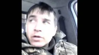 Гармун сайрый