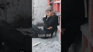 12 мая 2023 г.