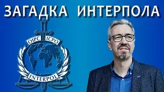 Что такое Интерпол