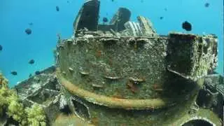 Dive in Aqaba :  The Tank wreck