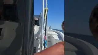 Tarpon fishing #shorts #tarpon #neverendthesend