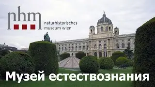 🏛️ Natural History Museum 🦖 Vienna, 4K UHD