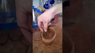 чистка медных монет электролизом доступный и эфективный способ удаления зелени
