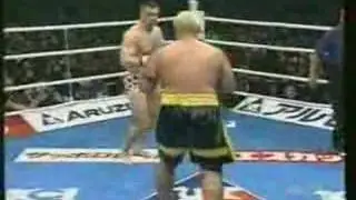 Cro Cop vs Mark Hunt