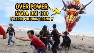 VIRAL GIANT DRAGON KITES DM 100 PPM MUNTILAN DESERVES FLYING IN STORM WINDS