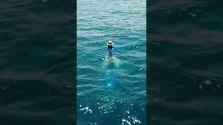 Israel’s first unmanned submarine drone #shorts