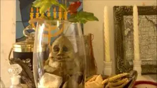 MANDRÁGORA