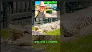 #shorts GATORLAND TOUR - ORLANDO, FLORIDA