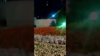 Вечером у Космоса
