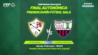 Final autonómica prebenjamín fútbol sala 22/23