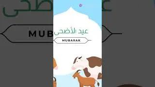Eid ul Adha-Tyohaar Ki Khushiyaan!