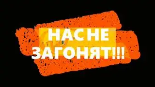 Нас много!!!!