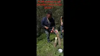 Youcef Jeune Agriculteur Nat Iraten -INNOCENT