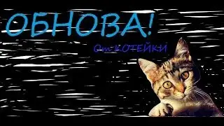 Обновление платных услуг. Котейка!