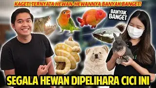 SEGALA HEWAN DIPELIHARA CICI INI! ADA HEWAN YANG BIKIN AKU KEPENGEN PUNYA! BANYAK BANGET!!