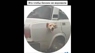 защита на бензобак