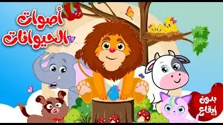 أصوات الحيوانات بدون إيقاع  | حيوانات الغابة