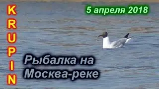 Рыбалка на Москве-реке. Первая за три месяца. СОСКУЧИЛСЯ.....