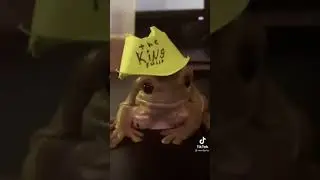 KING JULIO AND HIS GANG PT.2