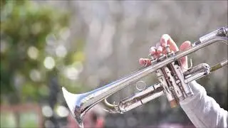 Reveille Sound Effect  Free Sound Clips 1080 x 1920