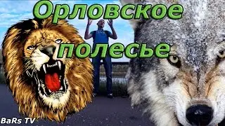 Орловское полесье