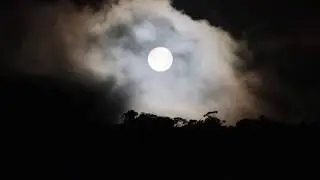 SUPER LUA  2020