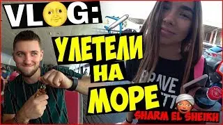 VLOG ● УЛЕТЕЛИ НА МОРЕ | Staff Medvedenko